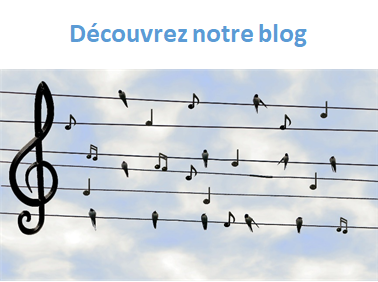 Blog titre 1