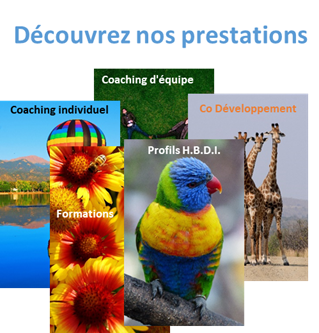 Prestations titre 1